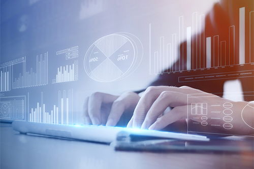 頭位信息 科技中介服務驅(qū)動信息高效流通常態(tài)化